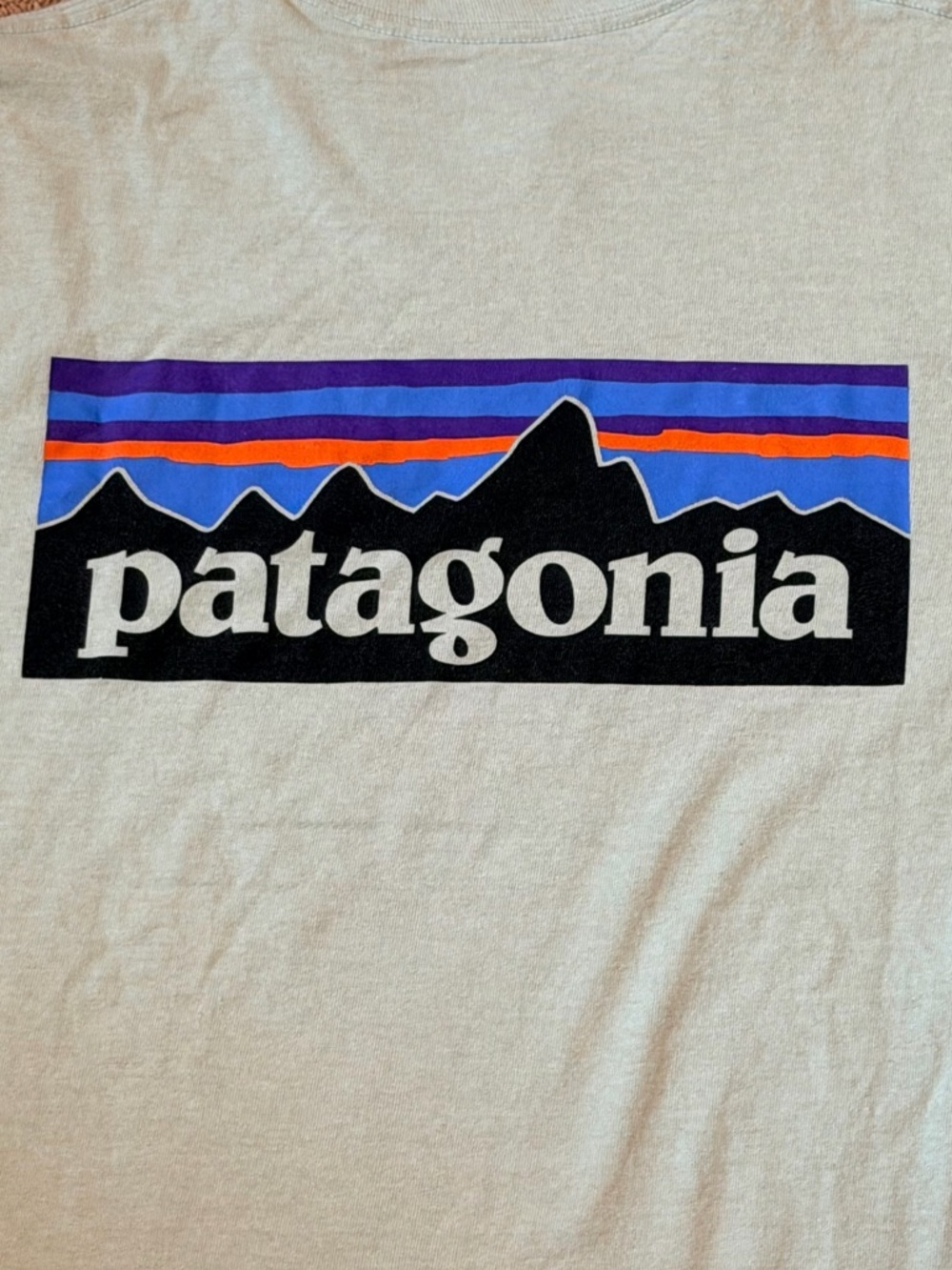Patagonia Responsibili-Tee Light Green Men’s Small 🌏 - Picture 4 of 6